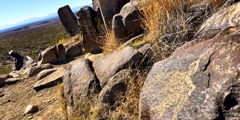 Camper submitted image from Three Rivers Petroglyph Site