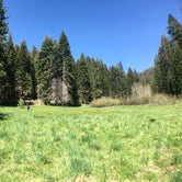 Review photo of Quaking Aspen Campground by Hayley K., March 24, 2019