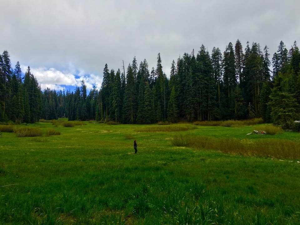 Camper submitted image from Grover Hot Springs State Park Campground - 3