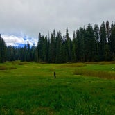 Review photo of Quaking Aspen Campground by Hayley K., March 24, 2019