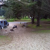 Review photo of Bodega Dunes Campground — Sonoma Coast State Park by daren W., March 24, 2019
