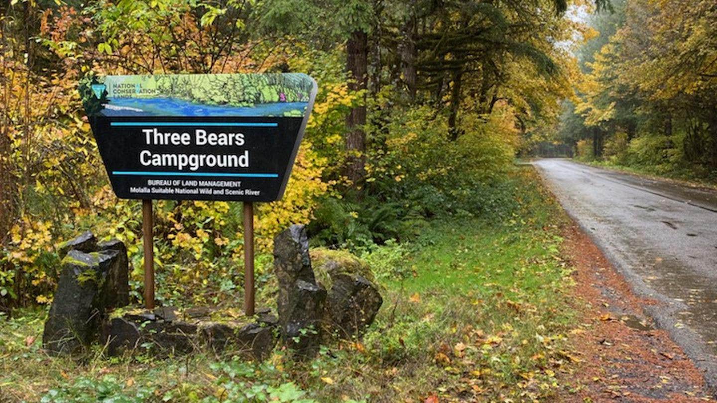 Camper submitted image from BLM Molalla River Recreation Area - 5