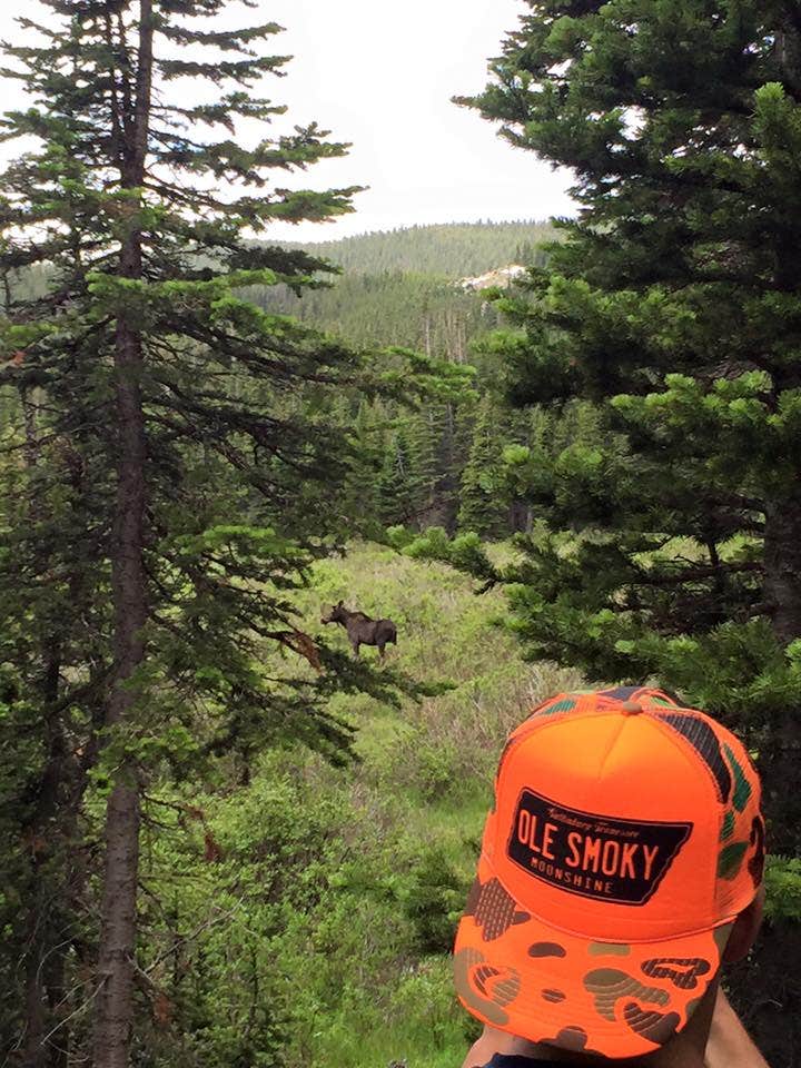 Hayley K.'s photo at Rainbow Lakes Campground near Nederland, CO