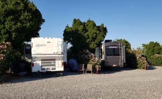 Sandy S.'s photo of rv camping at Desert View RV Resort near Mojave National Preserve