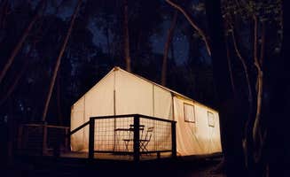 David B.'s photo at Shelterwood - CLOSED near Cazadero, CA