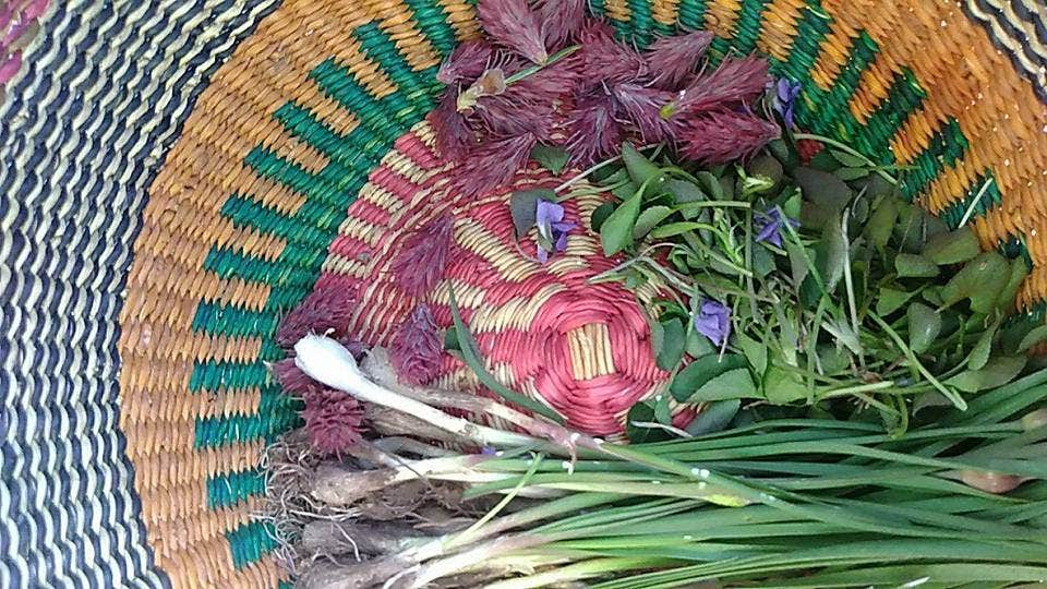 Camper-submitted photo at Mother Bosque Gardens near Peña Blanca, NM