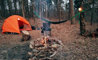 Ashley F.'s photo of a dispersed camping area at Sam's Throne Recreation Area near Buffalo National River