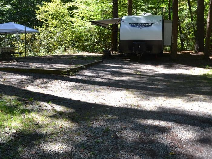 Camper submitted image from Cataloochee Campground — Great Smoky Mountains National Park - 3