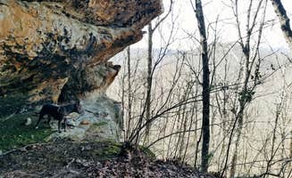 Ashley F.'s photo of camping with pets at Sam's Throne Recreation Area near Hector, AR
