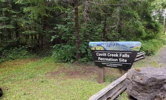 Camping near Whistlers Bend County Park: Cavitt Creek Falls, Idleyld Park, Oregon
