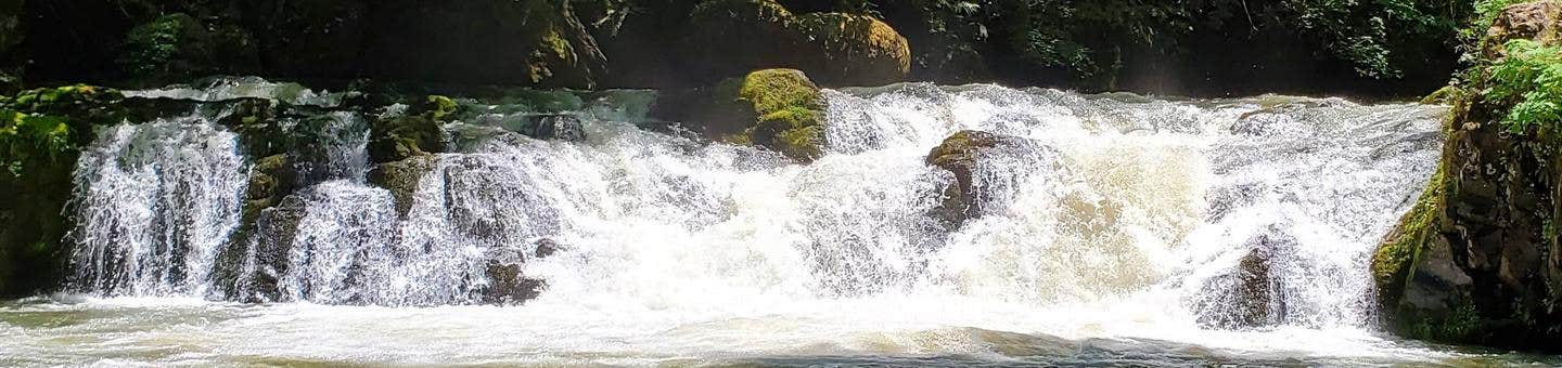 Camper submitted image from Cavitt Creek Falls - 4