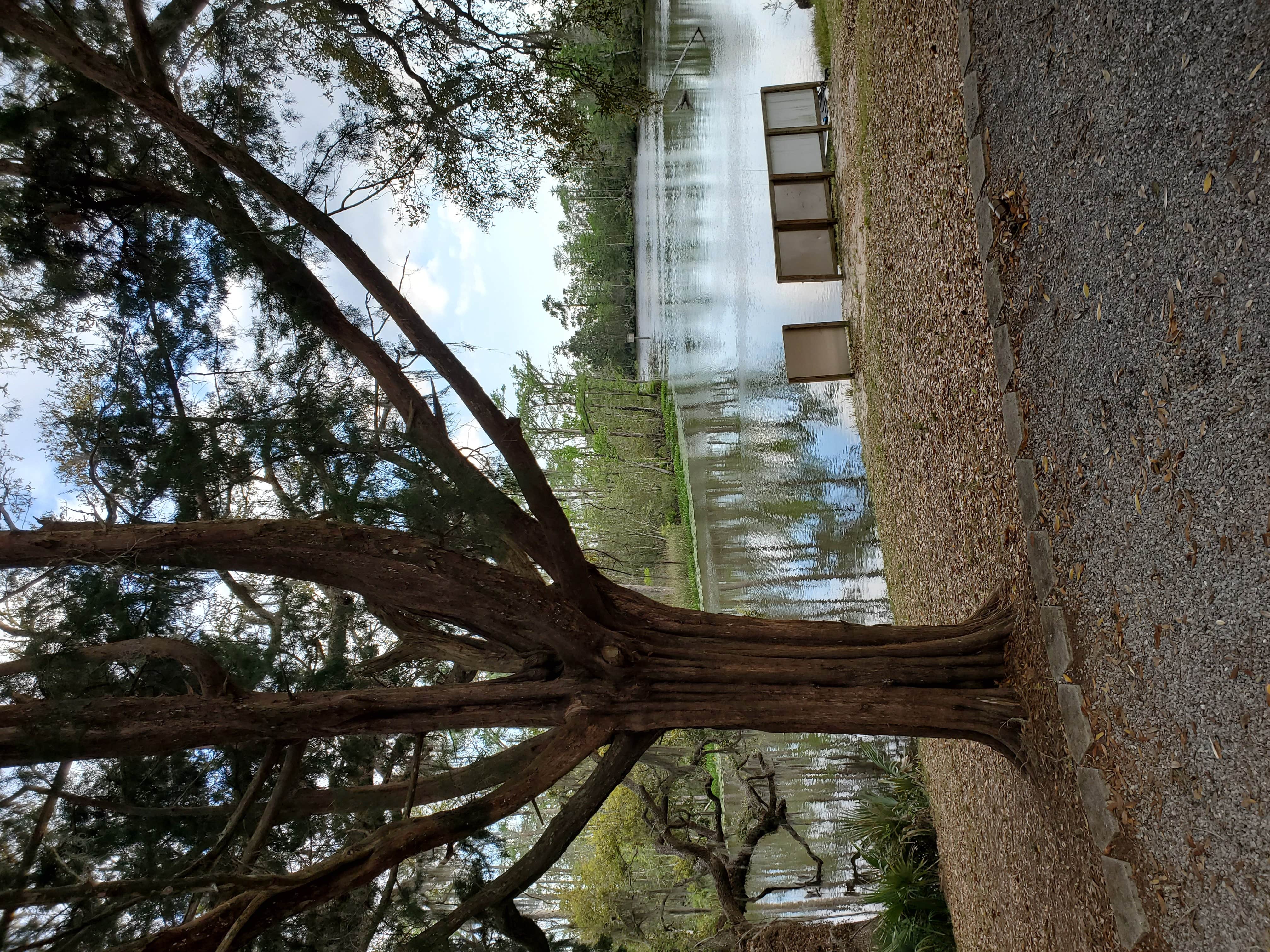 Camper-submitted photo at Live Oak Landing near Destin, FL