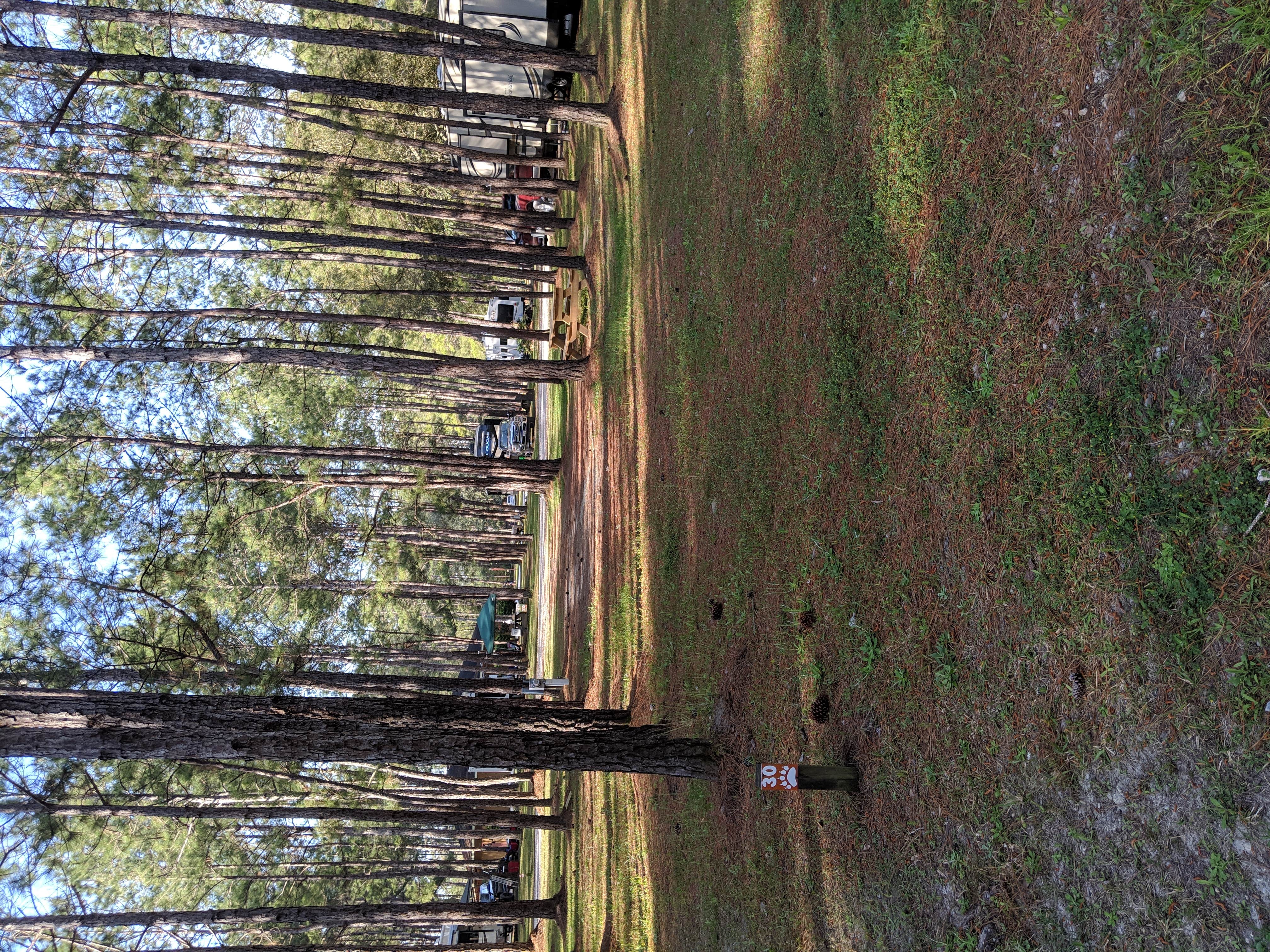 Camper submitted image from Yogi Bear’s Jellystone Park Camp Resort - Alabama Gulf Coast - 3