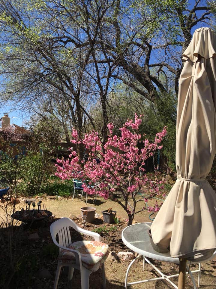 Camper-submitted photo at Mother Bosque Gardens near Peña Blanca, NM