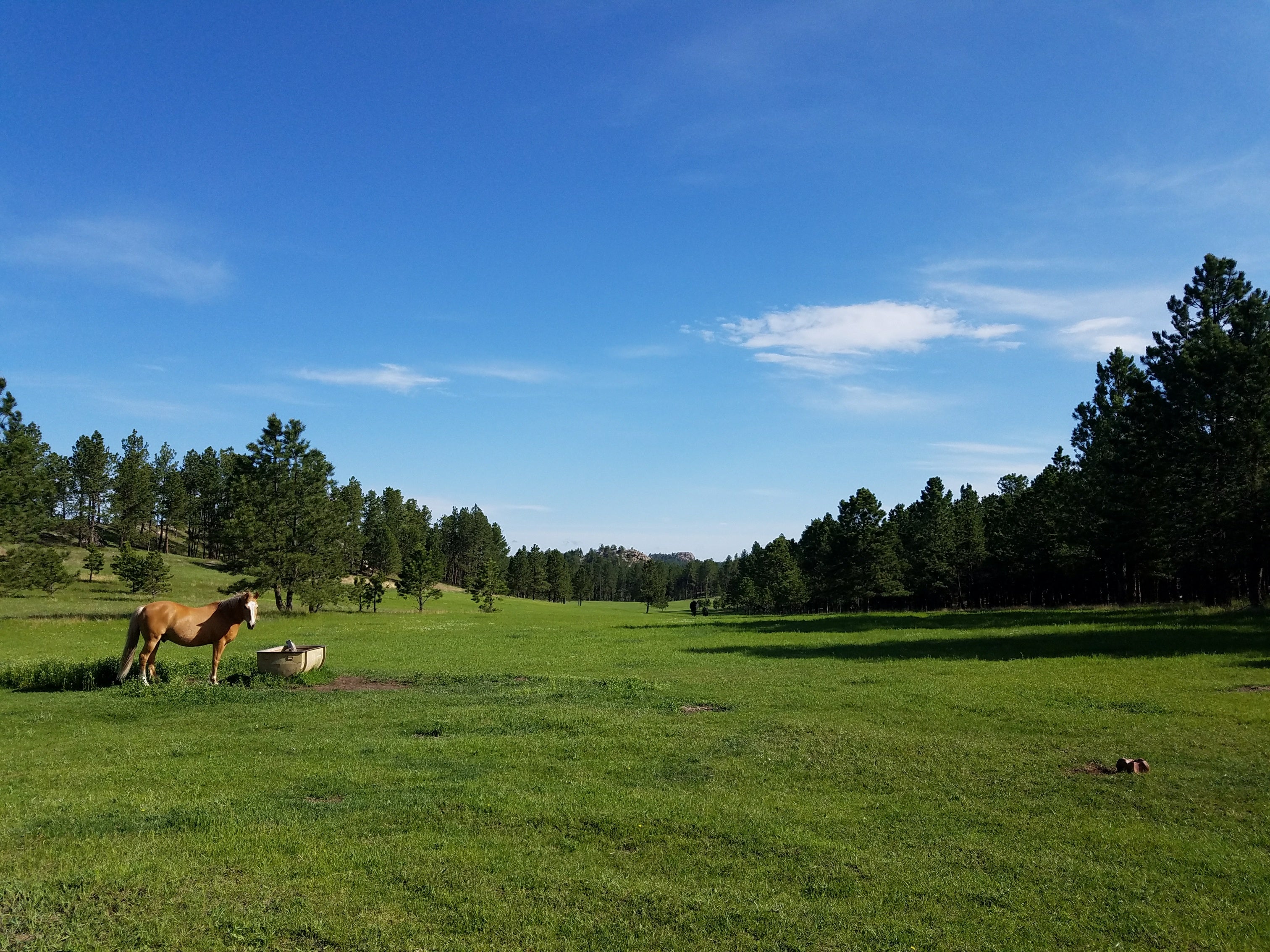 The pasture, now also the Glamping site