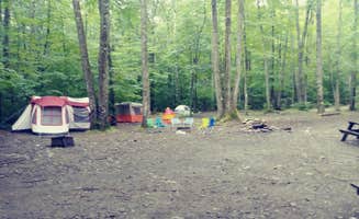 Allison M.'s photo at Pittsfield State Forest Campground near West Stockbridge, MA