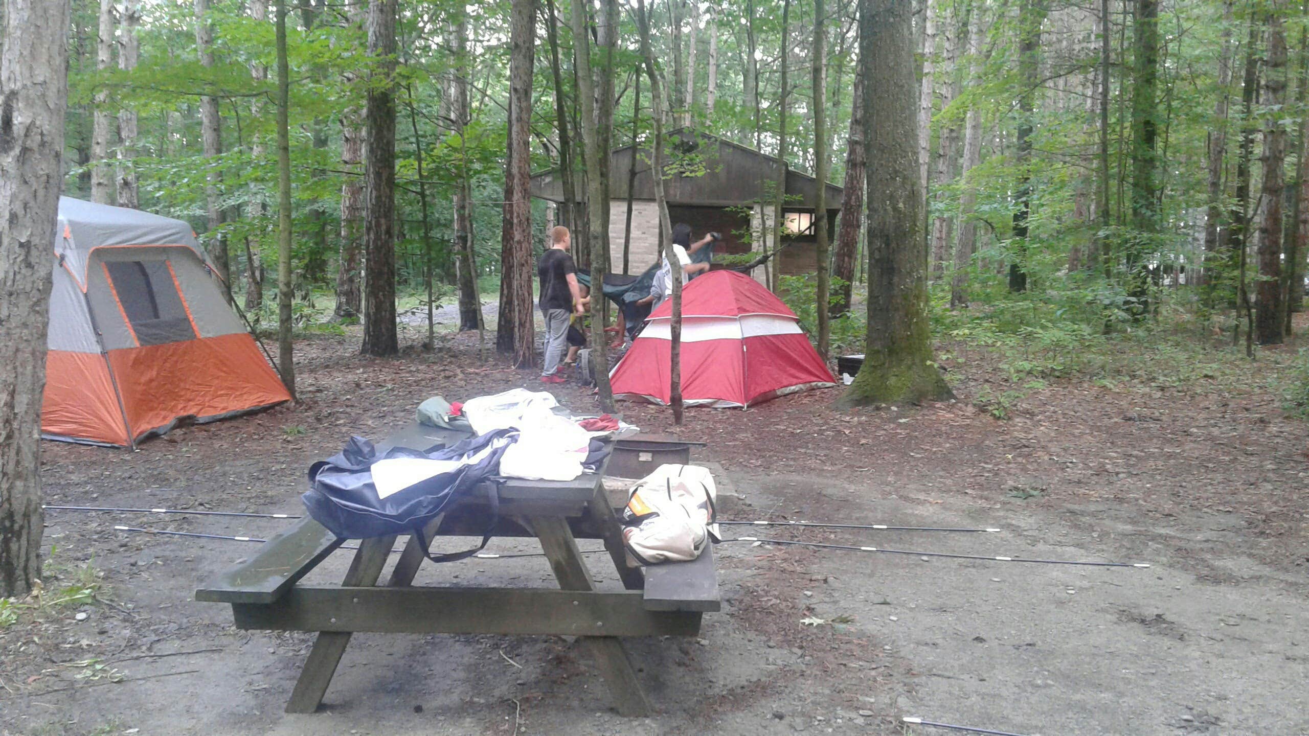 Allison M.'s photo at Watkins Glen State Park Campground near Painted Post, NY