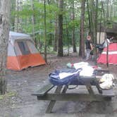 Review photo of Watkins Glen State Park Campground by Allison M., March 29, 2019