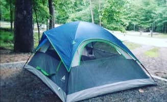 The Dyrt's photo at Charlton Campground near Ouachita Lake