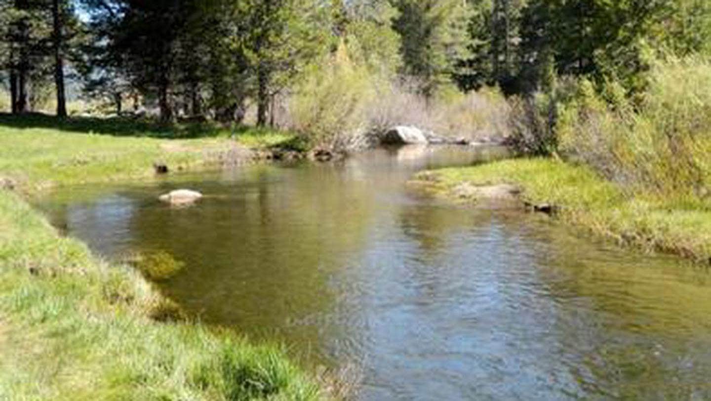 Camper submitted image from Hope Valley Campground - 4