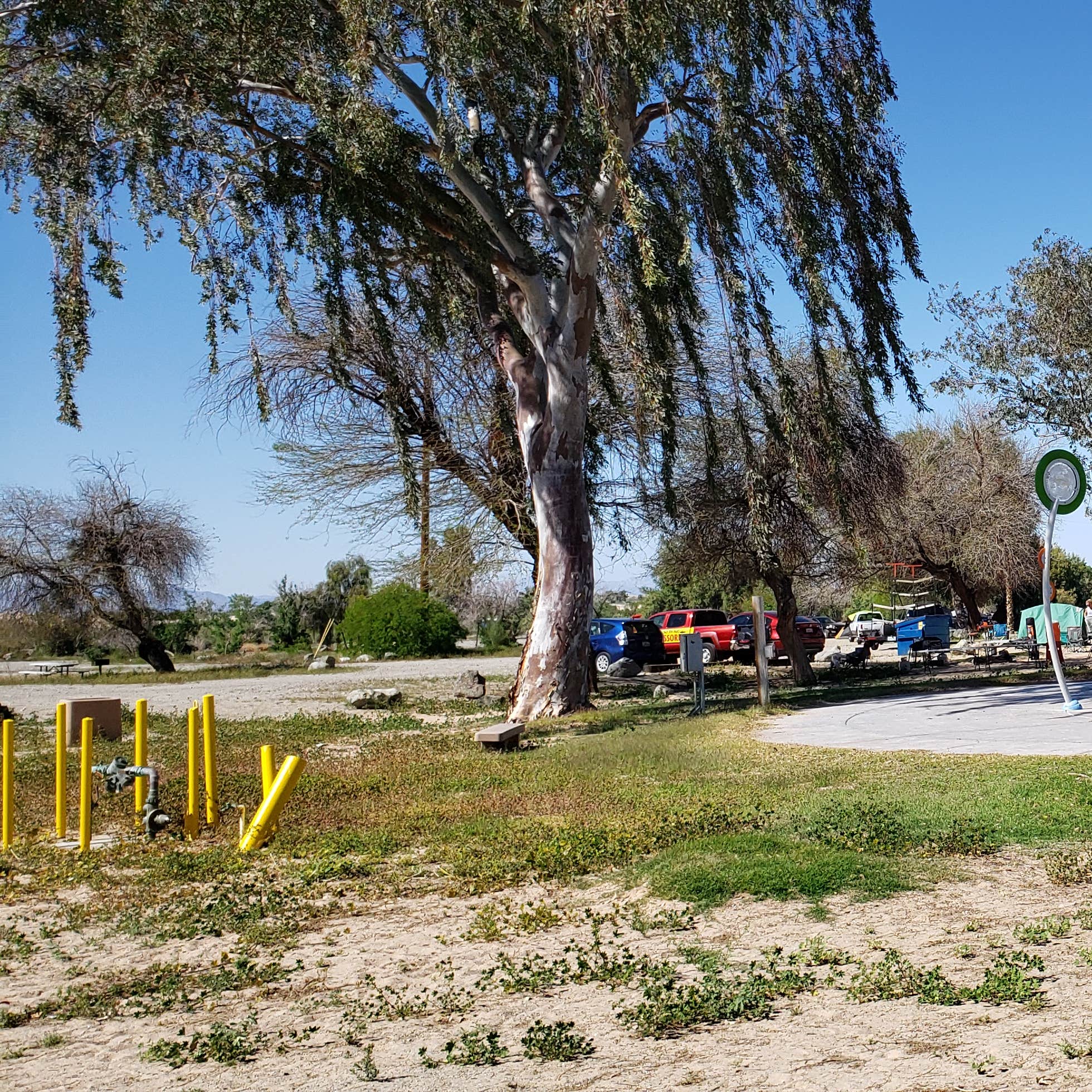 Pirate Cove Camping The Dyrt