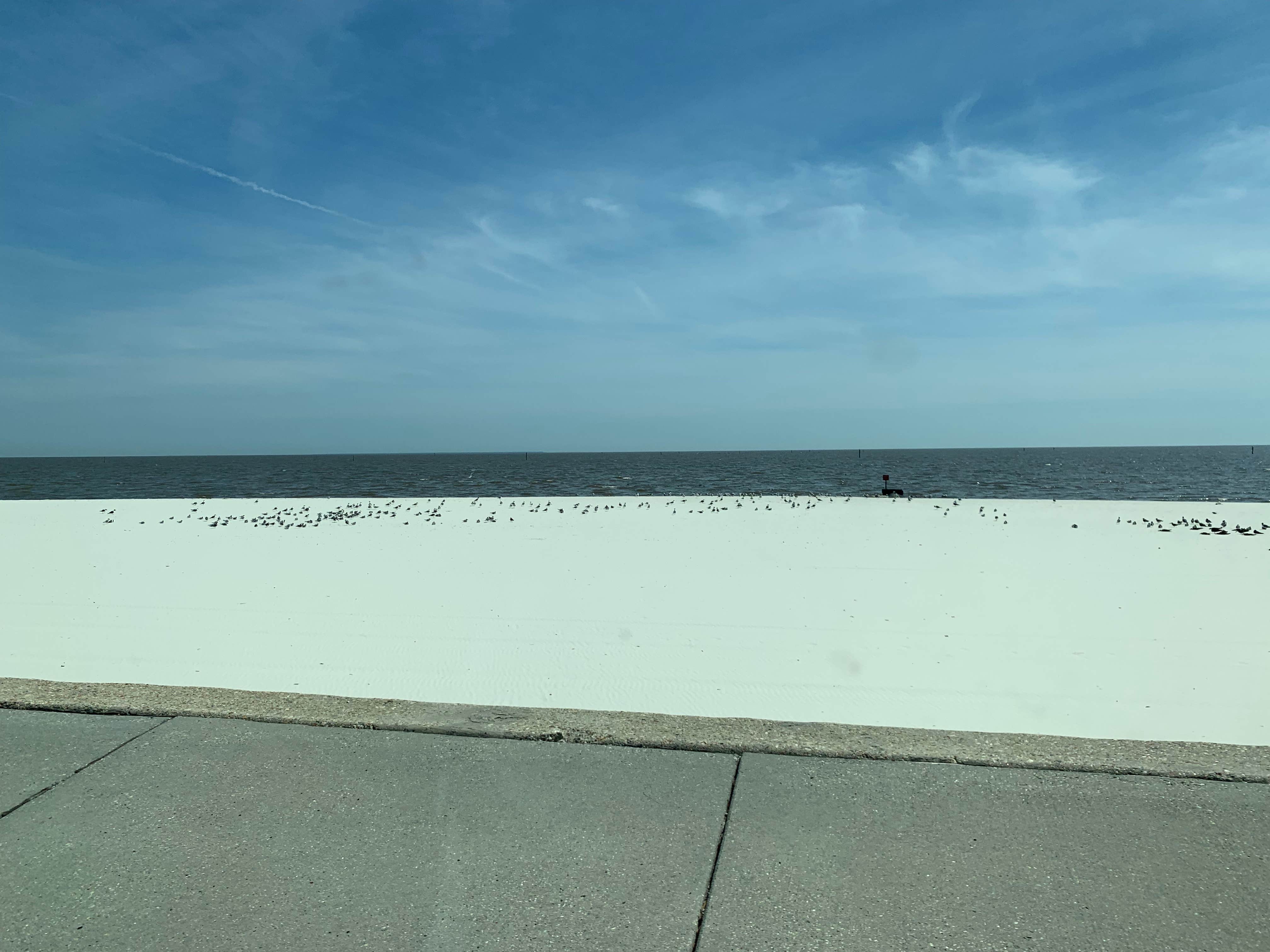 Camper-submitted photo at Cajun RV Park near Ocean Springs, MS