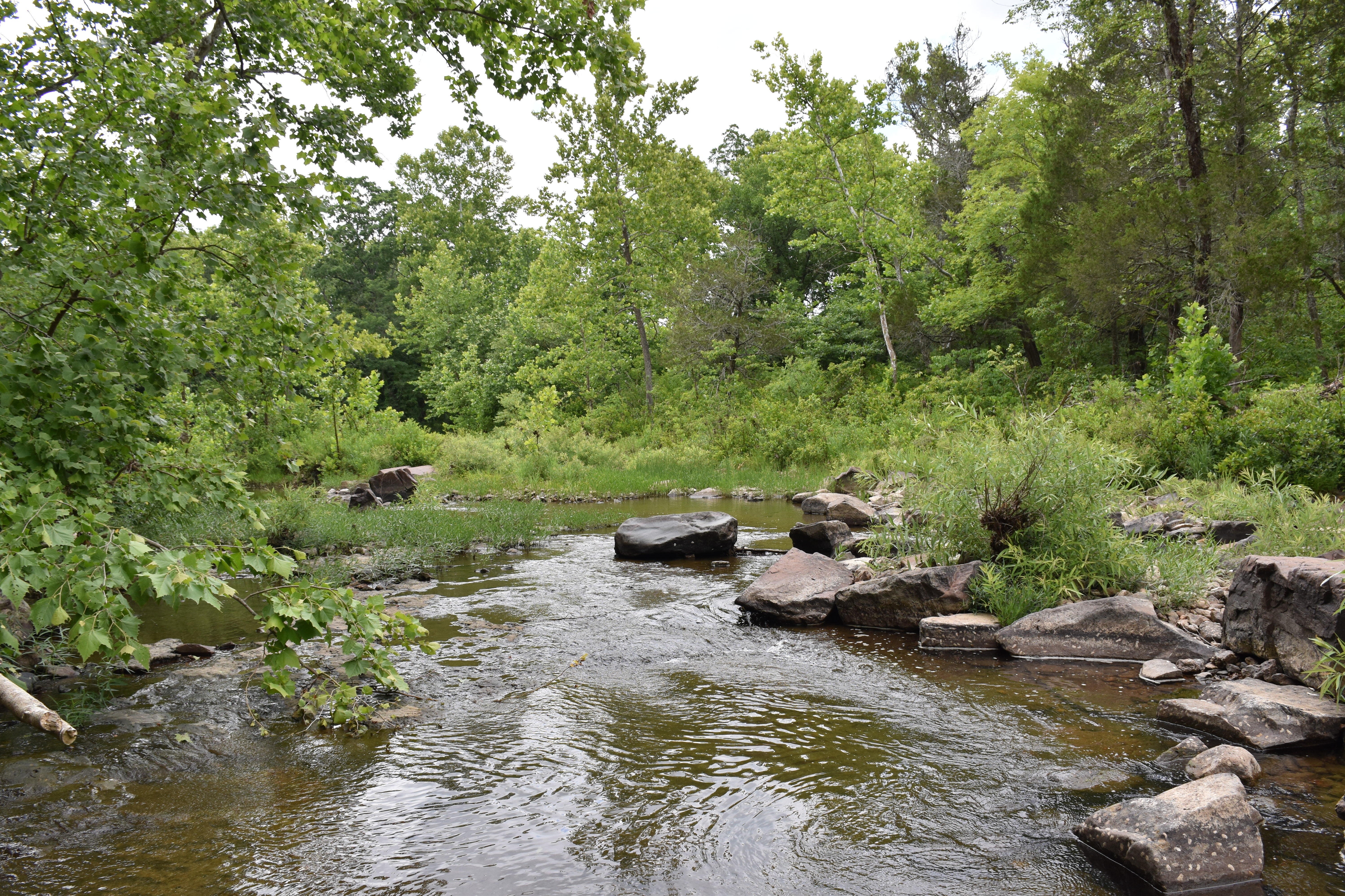 View of the creek from our site