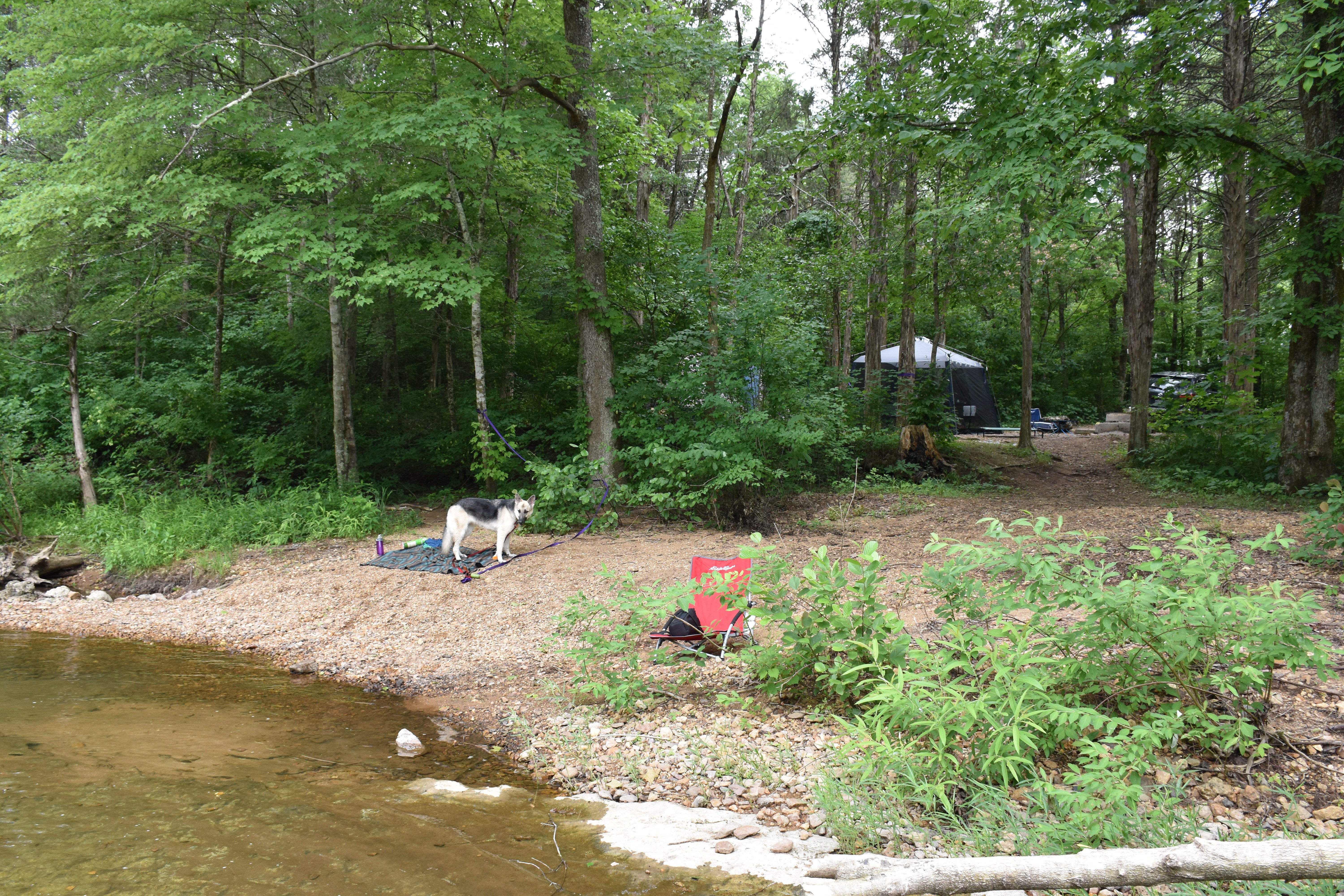Camper submitted image from Marble Creek Rec Area - 4