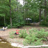 Review photo of Marble Creek Rec Area by Shannon B., April 1, 2019