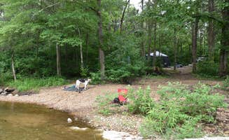 Shannon B.'s photo of camping with pets at Marble Creek Rec Area near Park Hills, MO