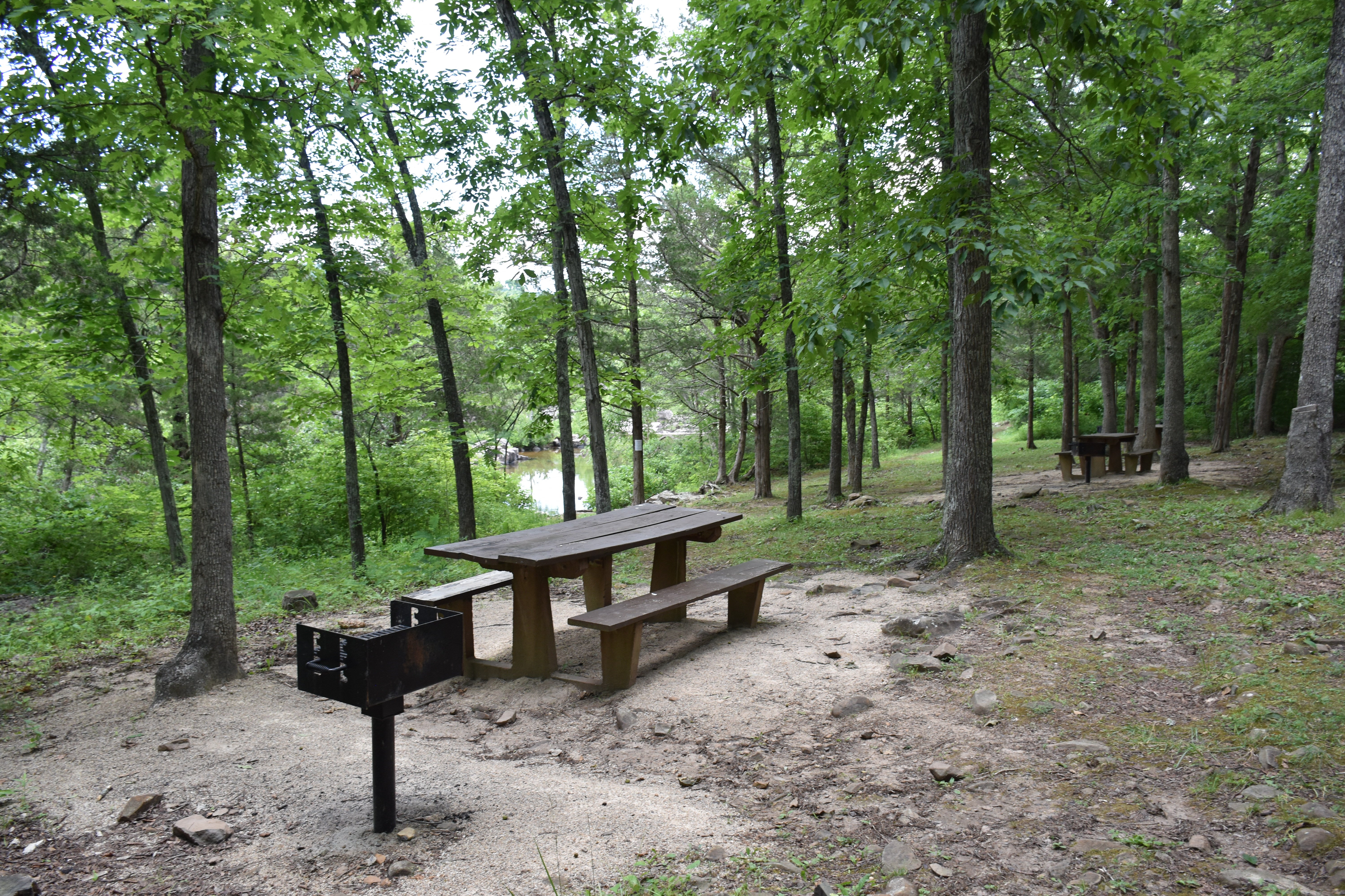 Camper submitted image from Marble Creek Rec Area - 1