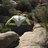 Review photo of Hidden Valley Campground — Joshua Tree National Park by Ric S., April 1, 2019