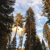 Review photo of Dorst Creek Campground — Sequoia National Park - TEMPORARILY CLOSED by Ric S., April 1, 2019