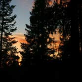 Review photo of Dorst Creek Campground — Sequoia National Park by Ric S., April 1, 2019