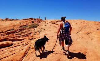 Hayley K.'s photo of camping with pets at Atlatl Rock Campground — Valley of Fire State Park near Mesquite, NV