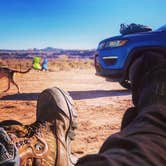 Review photo of Willow Springs Trail by Hayley K., April 1, 2019