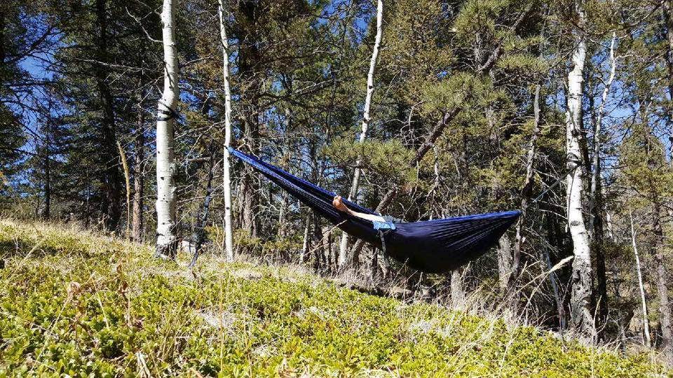 Camper submitted image from Rampart Range Recreation Area - 4