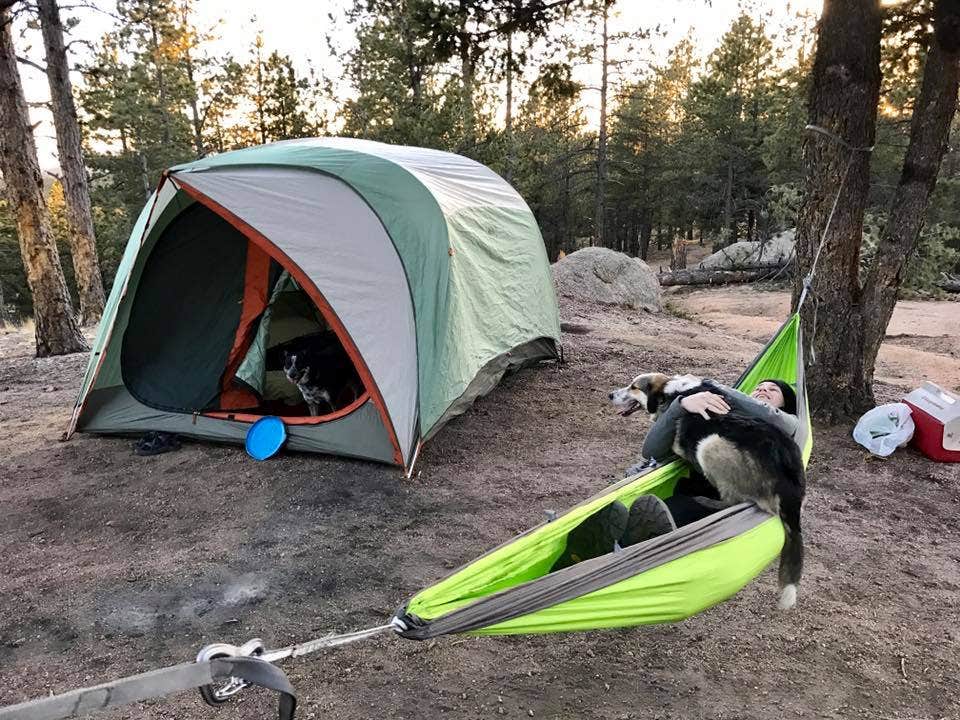 Camper submitted image from Rampart Range Recreation Area - 3