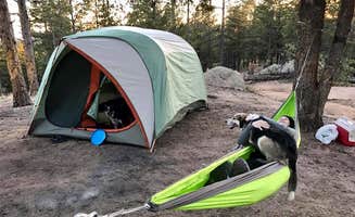 Hayley K.'s photo at Rampart Range Recreation Area near Littleton, CO