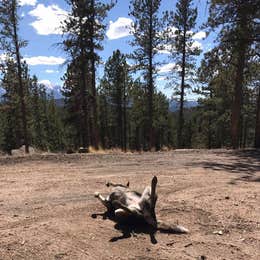 Rampart Range Recreation Area