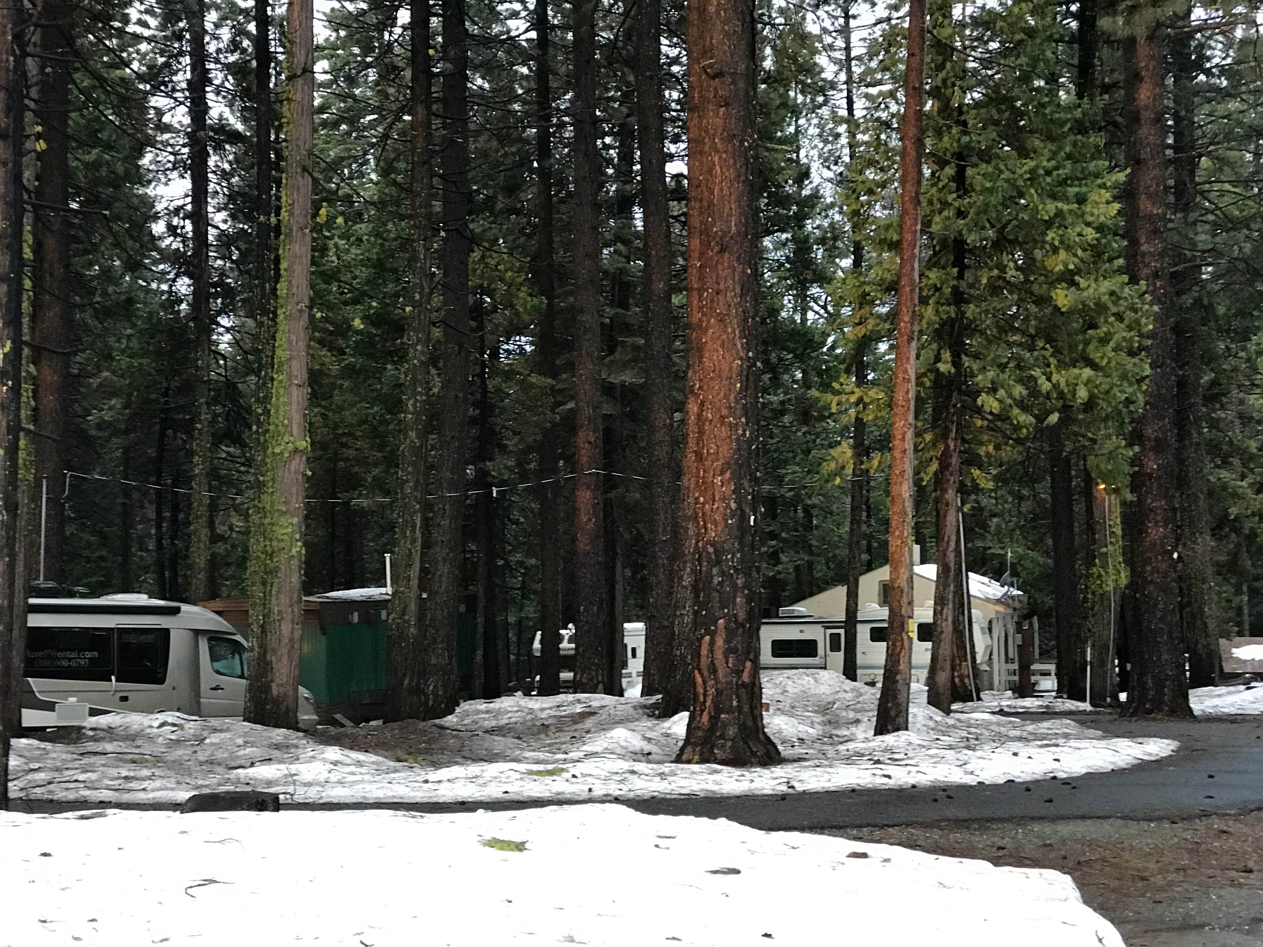The School for  Y.'s photo of glamping accommodations at Golden Pine RV Park near Independence, CA