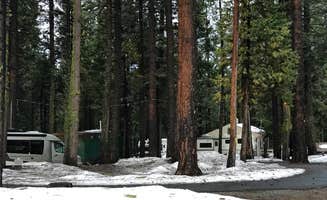 The School for  Y.'s photo of glamping accommodations at Golden Pine RV Park near Sequoia and Kings Canyon National Parks
