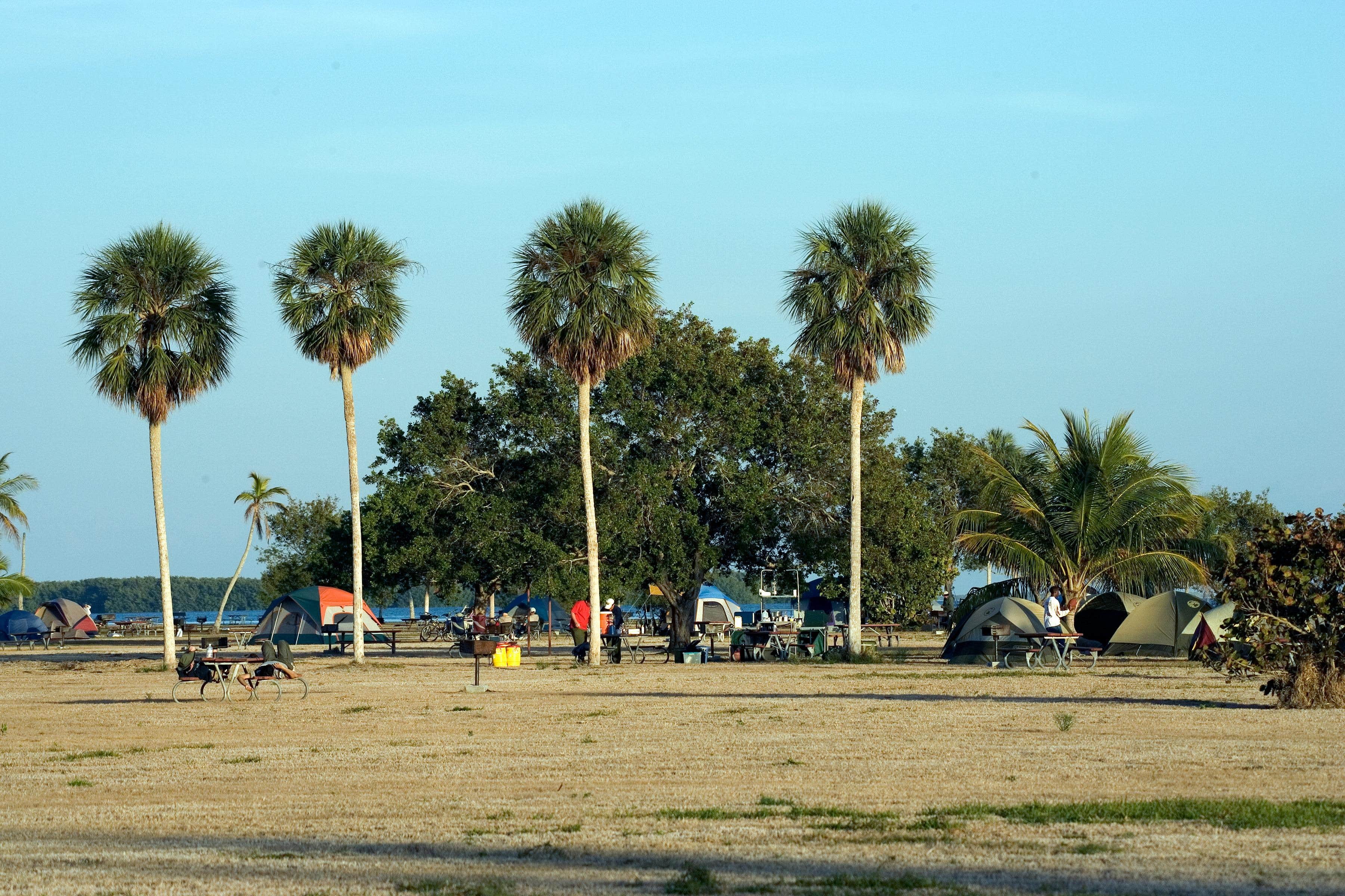 Camper submitted image from Flamingo Campground — Everglades National Park - 1