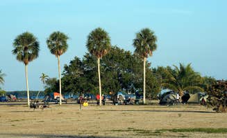 The Dyrt's photo at Flamingo Campground — Everglades National Park near Everglades National Park