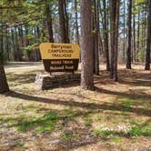 Review photo of Berryman Trail & Campgrounds - Mark Twain National Forest by Hannah W., April 2, 2019