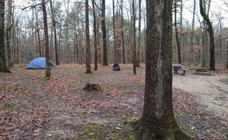 Hannah W.'s photo at Berryman Trail & Campgrounds - Mark Twain National Forest near Davisville, MO