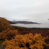 Review photo of Riley Creek Campground — Denali National Park by Hannah W., April 2, 2019