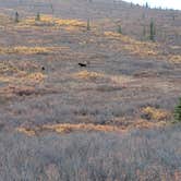 Review photo of Riley Creek Campground — Denali National Park by Hannah W., April 2, 2019