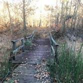 Review photo of Village Creek State Park Campground by Shana D., April 2, 2019