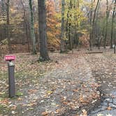 Review photo of Village Creek State Park Campground by Shana D., April 2, 2019